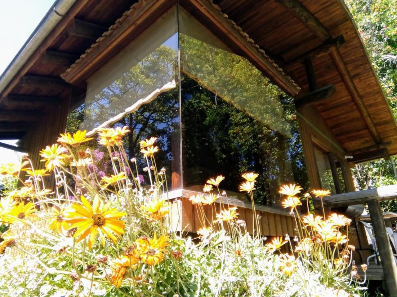 Cabanas El Cipres Pucon Luaran gambar