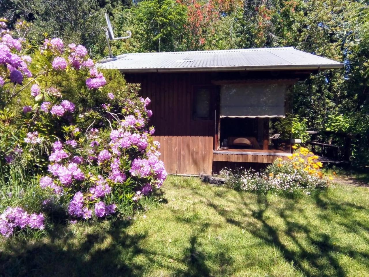 Cabanas El Cipres Pucon Luaran gambar
