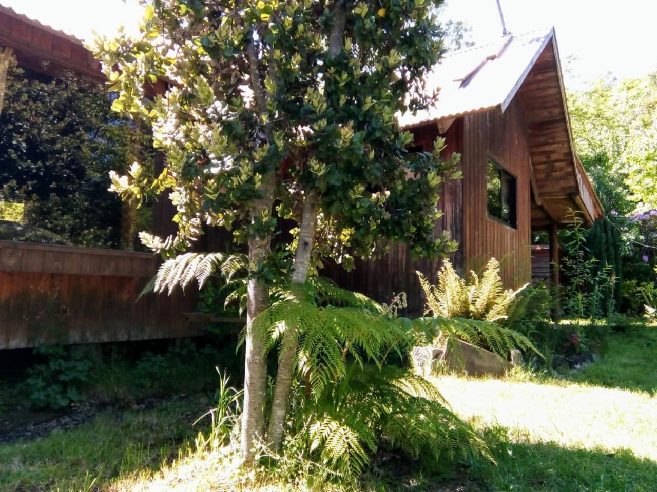Cabanas El Cipres Pucon Luaran gambar