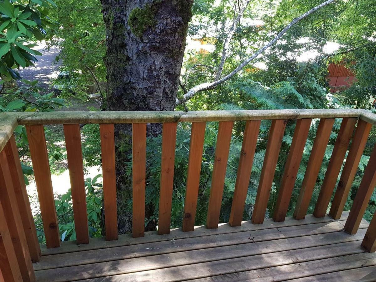 Cabanas El Cipres Pucon Luaran gambar
